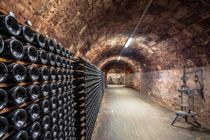 Private tour of the Champagne area, meet local producers and taste their Champagne, start from your hotel in Paris. — photo 11