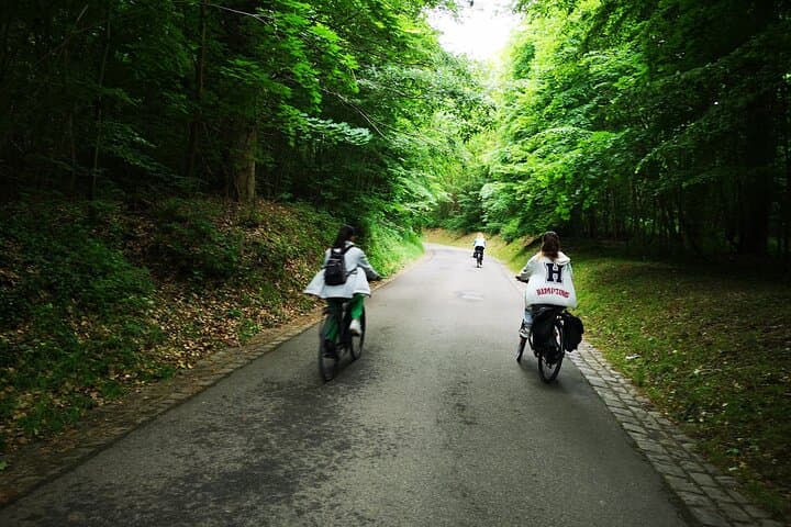 Versailles Full-Day Electric Bike Tour : Market, Picnic & Palace — photo 17