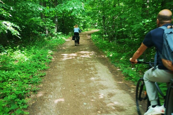 Versailles Full-Day Electric Bike Tour : Market, Picnic & Palace — photo 13