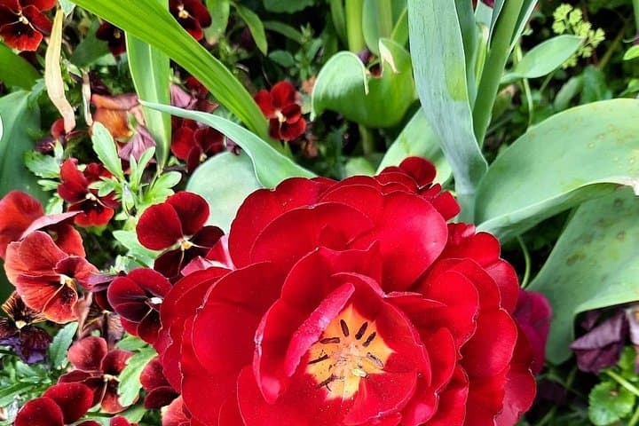 Private Giverny Trip and Entrance Ticket from Paris — photo 5