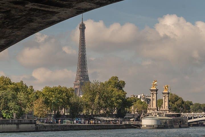 Private Cruise to Discover Paris — photo 8