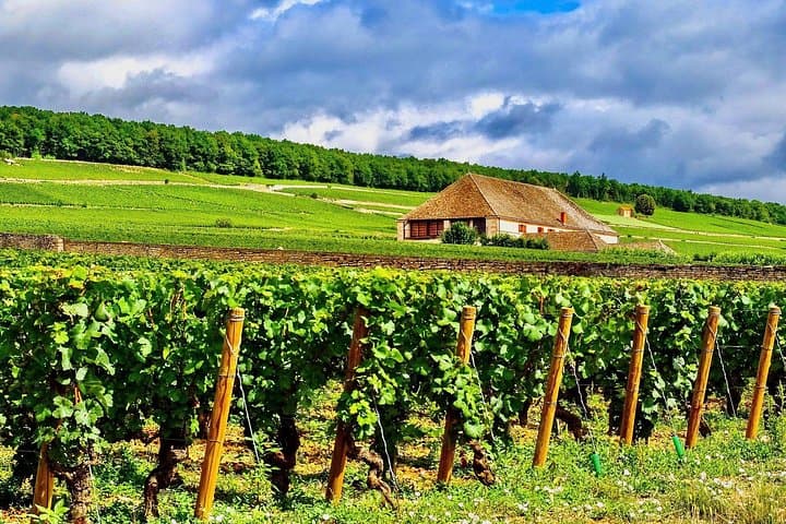 Chablis 20 Exquisite Wines Tasting Trip in Small-Group from Paris — photo 10