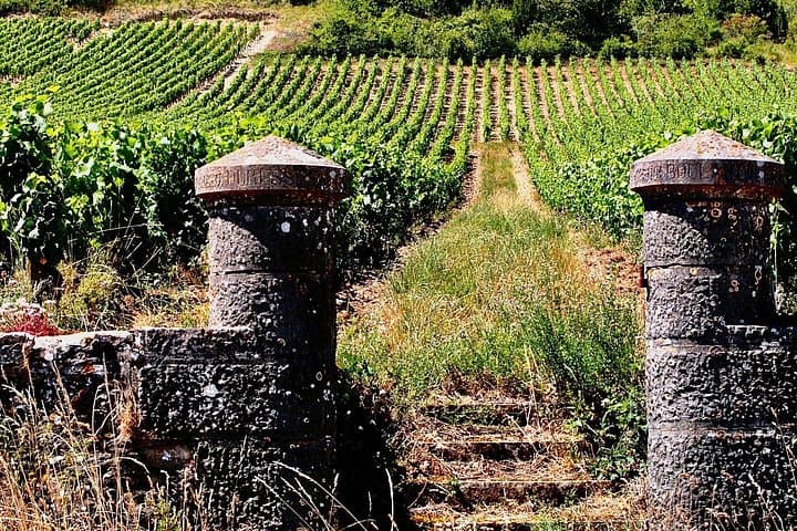 Chablis 20 Exquisite Wines Tasting Trip in Small-Group from Paris — photo 12