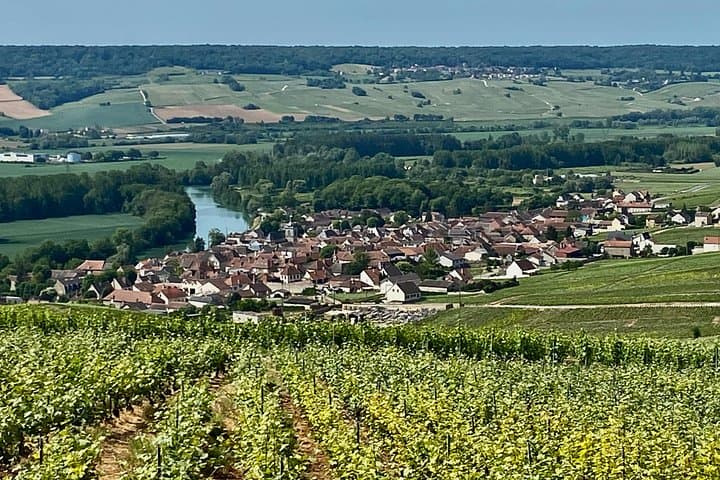Moet et Chandon Pressoria Champagne Small Group from Paris — photo 2