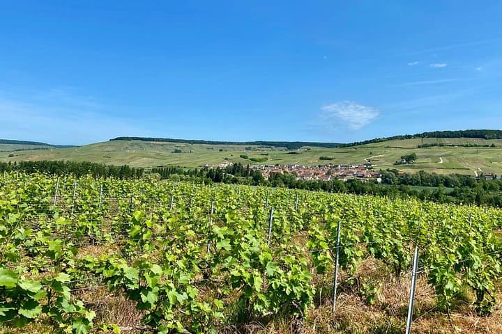 Moet et Chandon Pommery Pressoria Champagne Private trip — photo 11