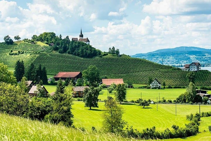 Moet et Chandon Pommery Pressoria Champagne Private trip — photo 9