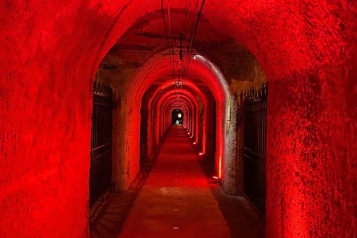 Moet et Chandon Pommery Pressoria Champagne Private trip — photo 18