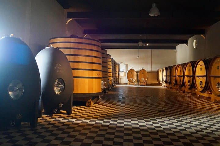 Chablis 20 Exquisite Wines Tasting Trip in Small-Group from Paris — photo 11