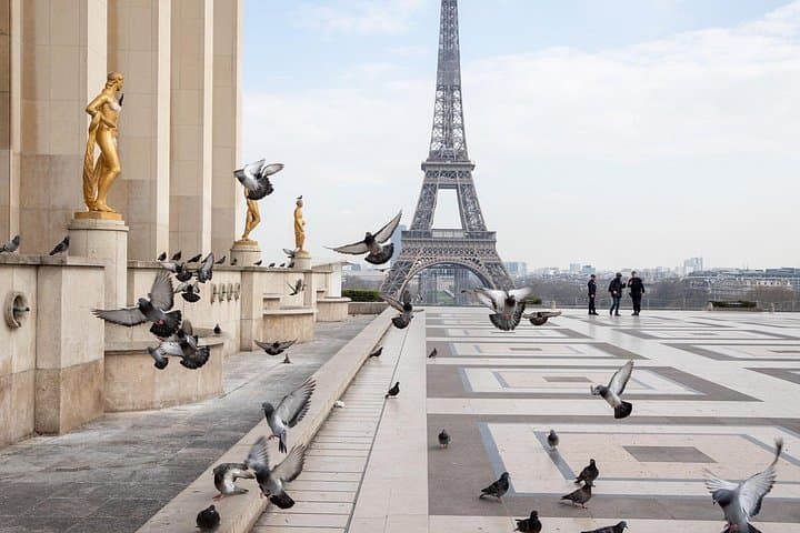 Full-Day Private Tour in Paris with Driver Sightseeing tour — photo 3