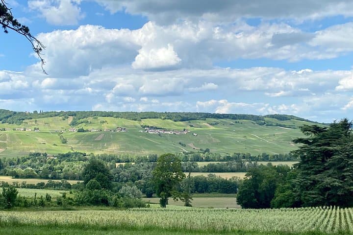 GRAND VINTAGE Taittinger Veuve Clicquot Cellars & Tastings trip — photo 15