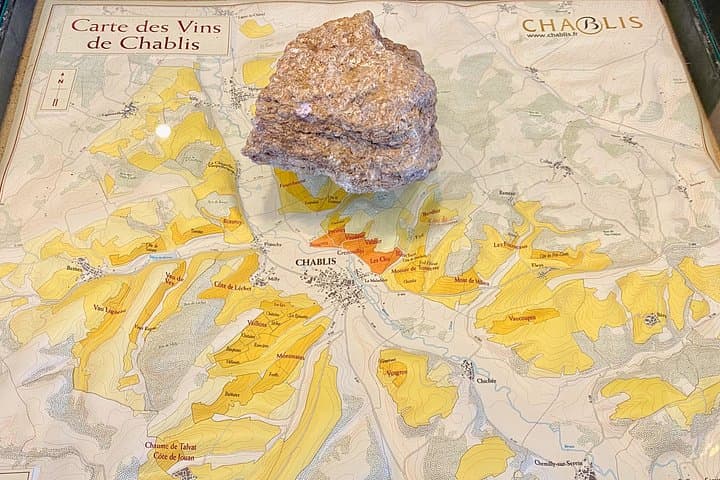 Private Exquisite Red & White Burgundy Wines Trip from Paris — photo 8