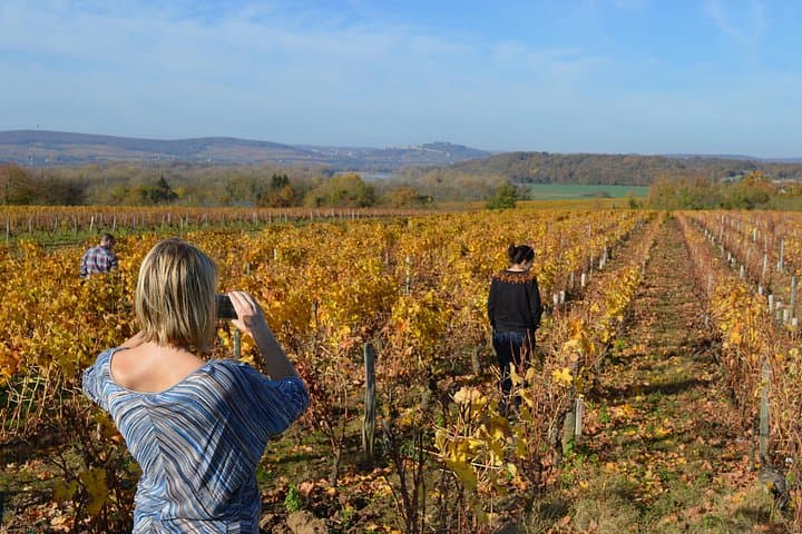 Paris Wine Day Tours exclusive wine tour in the Sancerre area — photo 11
