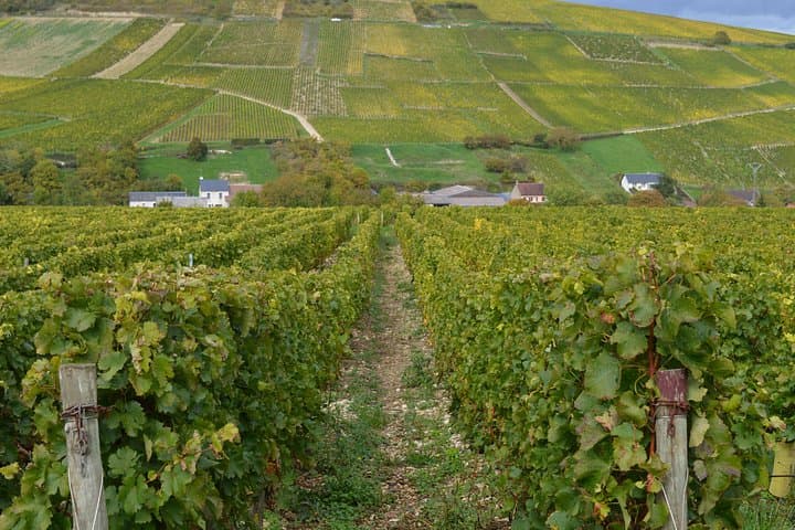 Paris Wine Day Tours exclusive wine tour in the Sancerre area — photo 5
