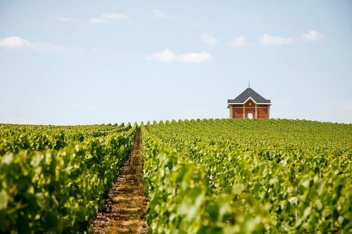 Private 10 hours Tour to the Champagne Wineries from Paris — photo 1