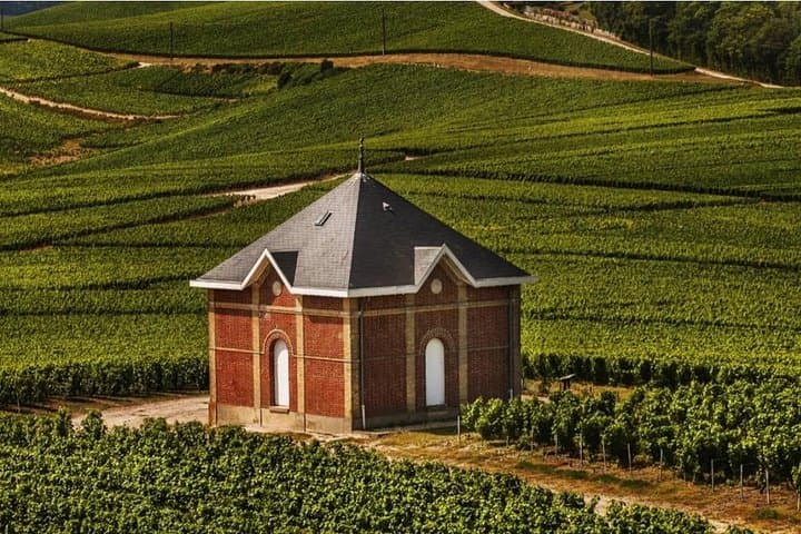 Private 10 hours Tour to the Champagne Wineries from Paris — photo 2