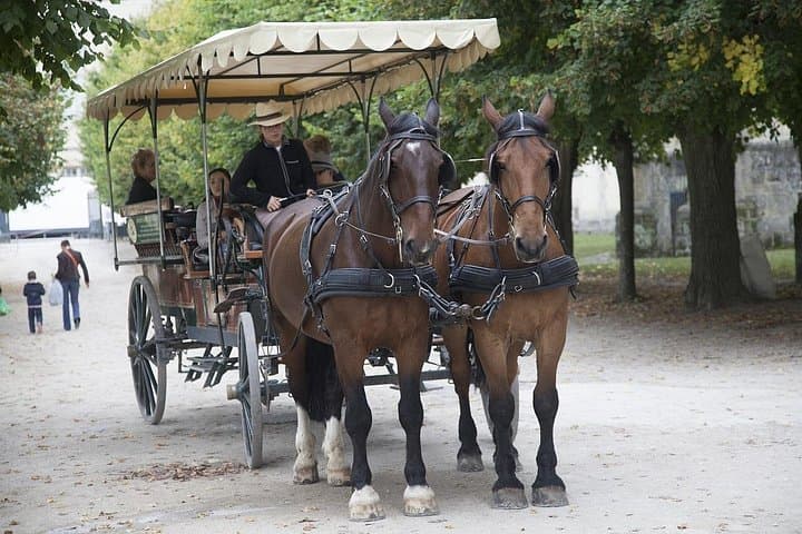 Private Tour of Fontainebleau from Paris — photo 3