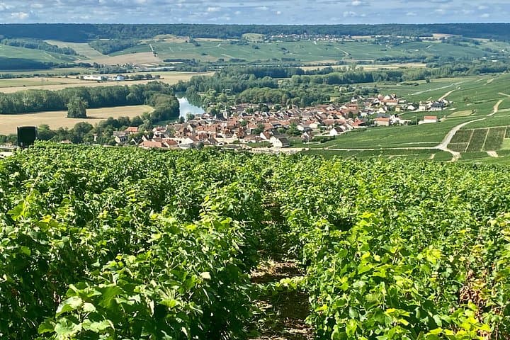 Moet et Chandon Pommery Pressoria Champagne Private trip — photo 1