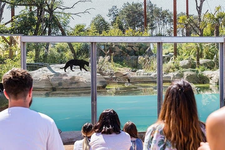 Parrot World Immersive Wildlife Park Entry Ticket next to Paris — photo 6