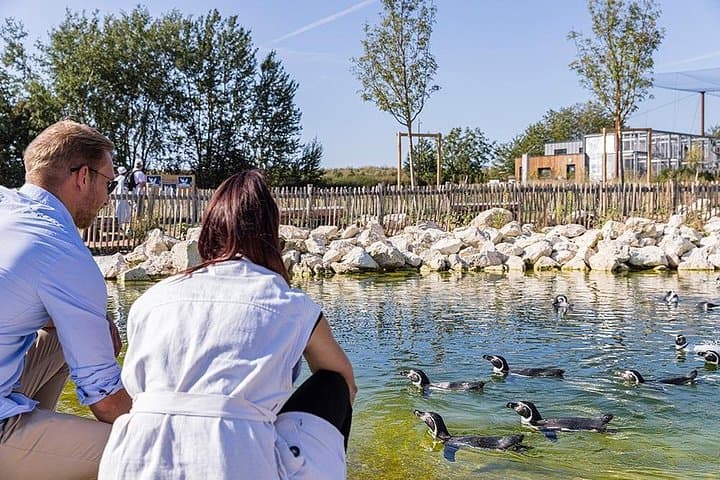 Parrot World Immersive Wildlife Park Entry Ticket next to Paris — photo 3