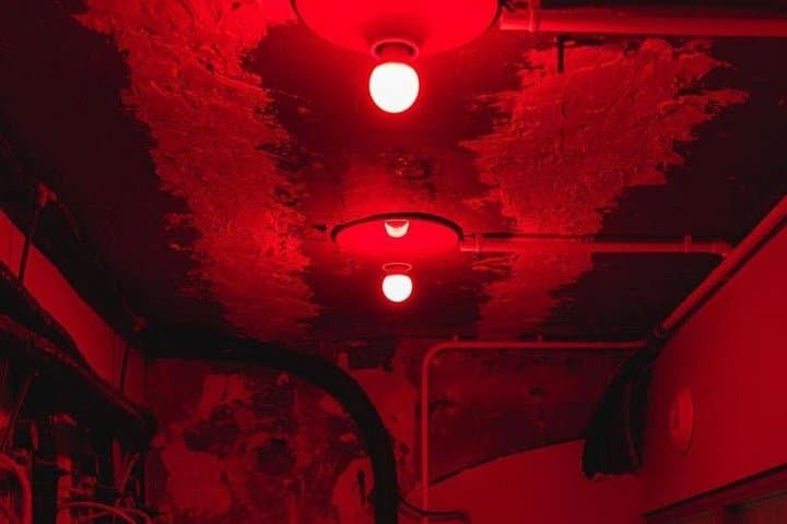 Paris Speakeasy: A Night to Meet, Connect & Explore secret Bars — photo 7