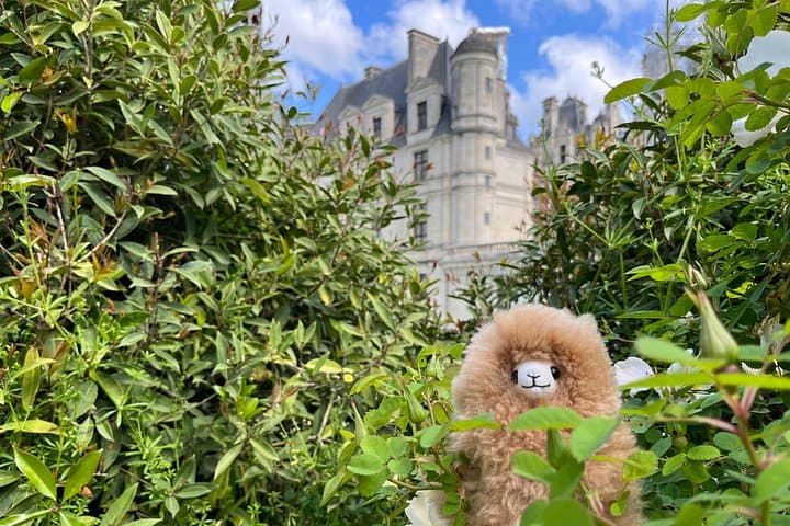 3 Loire Valley Castles and Wine Tasting Private Guided Tour — photo 8
