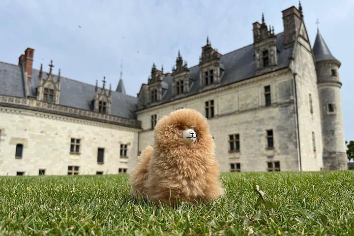 3 Loire Valley Castles and Wine Tasting Private Guided Tour — photo 7