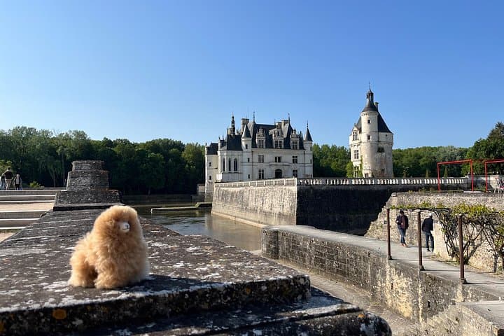 3 Loire Valley Castles and Wine Tasting Private Guided Tour — photo 10