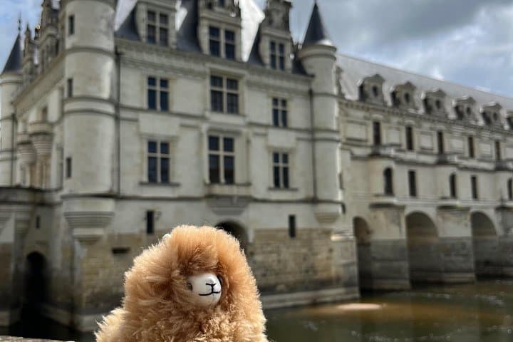 3 Loire Valley Castles and Wine Tasting Private Guided Tour — photo 11