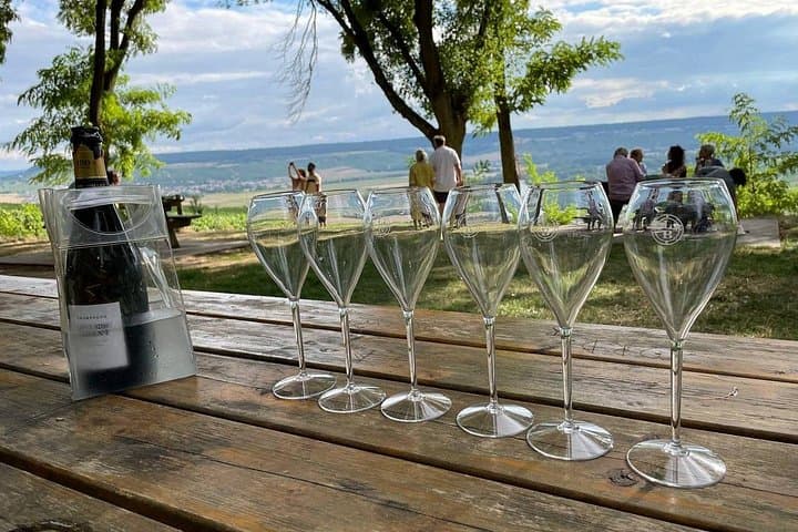 Small-Group Champagne Lunch & Tasting from Paris with Pickup — photo 14