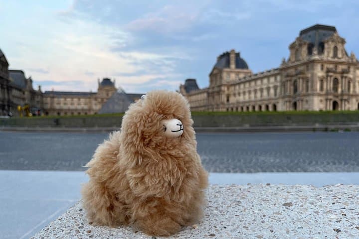 Private Paris City Night Sightseeing Tour by Car — photo 2