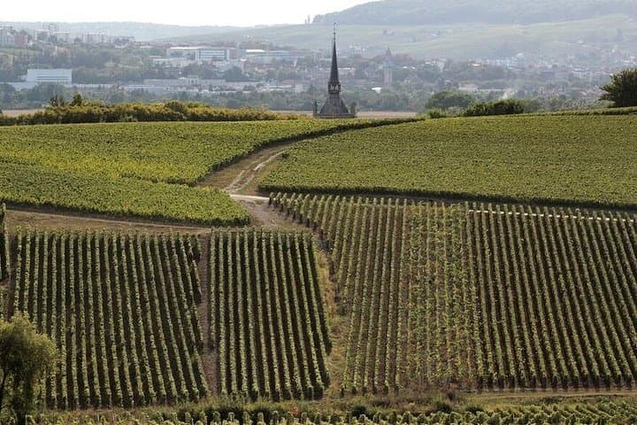 Private Champagne Day Trip: Reims Cathedral, Tastings & Vineyards — photo 10