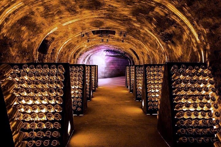 Private Champagne Day Trip: Reims Cathedral, Tastings & Vineyards — photo 12