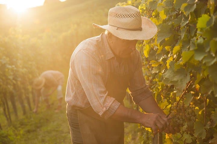 Private tour of the Champagne area, meet local producers and taste their Champagne, start from your hotel in Paris. — photo 1