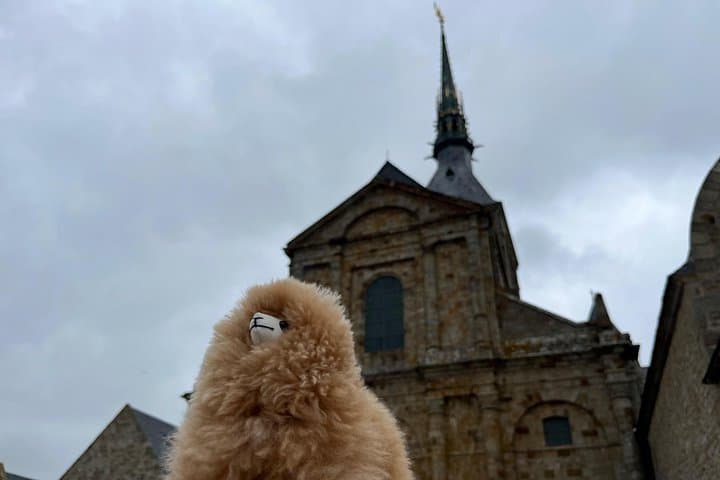 Private Guided Mont Saint Michel & D-day tour from Paris — photo 7
