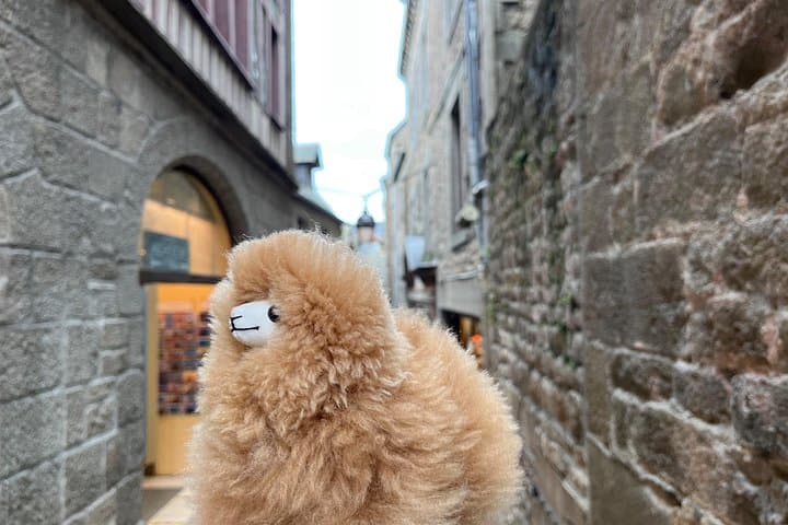 Private Guided Mont Saint Michel & D-day tour from Paris — photo 9