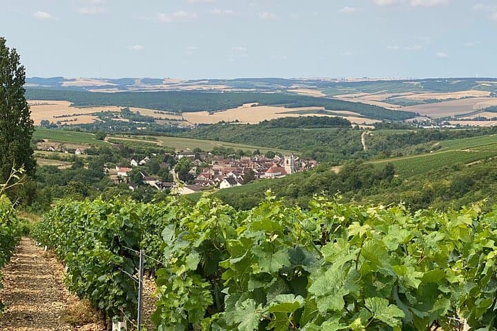 Chablis & Burgundy vineyards & cellars tour from Paris +Sommelier — photo 2