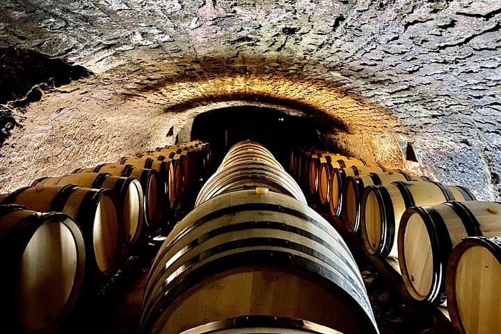 Chablis & Burgundy vineyards & cellars tour from Paris +Sommelier — photo 7