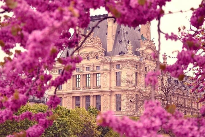 How Paris Became Paris: Notre-Dame to the Louvre — photo 5