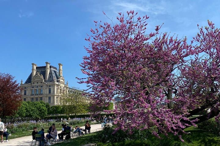 How Paris Became Paris: Notre-Dame to the Louvre — photo 11