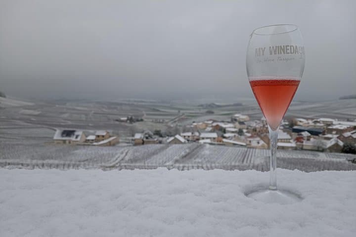 Champagne Day Trip from Paris with 8 Tastings & Lunch — photo 16