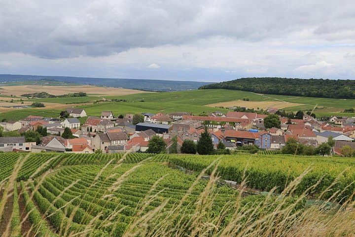 Champagne Private Day trip from Paris with 8 Tastings & Lunch — photo 12
