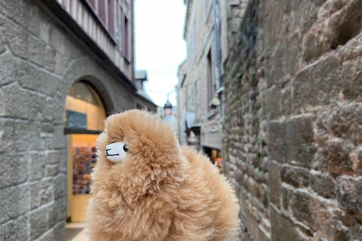 Full-day Private Tour in Mont Saint Michel with Calvados Tasting — photo 8