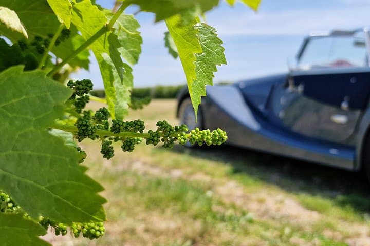 Champagne Private Day trip from Paris with 8 Tastings & Lunch — photo 14