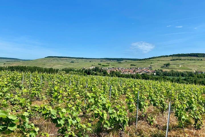 Moet et Chandon Veuve Clicquot Private Champagne trip from Paris — photo 8