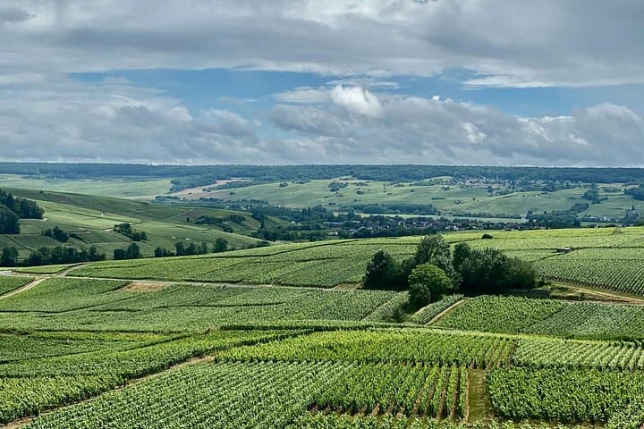 Moet et Chandon Veuve Clicquot Private Champagne trip from Paris — photo 13