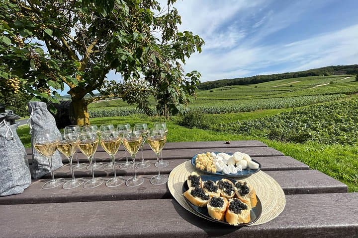 Paris: Champagne Day Trip with Tastings, Cathedral & Pickup — photo 7