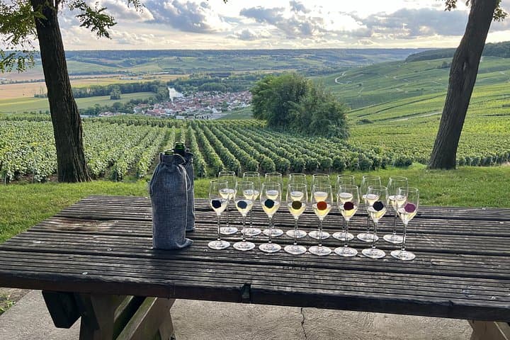 Small-Group Champagne Lunch & Tasting from Paris with Pickup — photo 8
