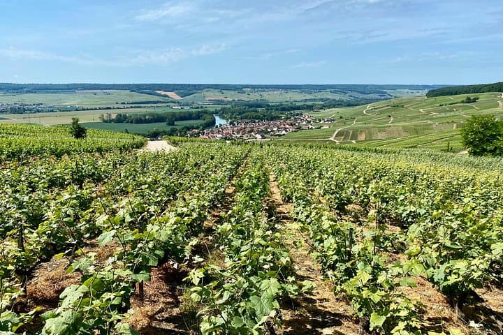 DeLuxe DOM PERIGNON Champagne Tastings Cellars trip from Paris — photo 2