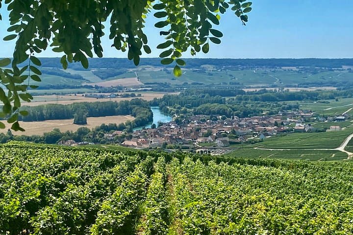 Moet et Chandon Veuve Clicquot Private Champagne trip from Paris — photo 2