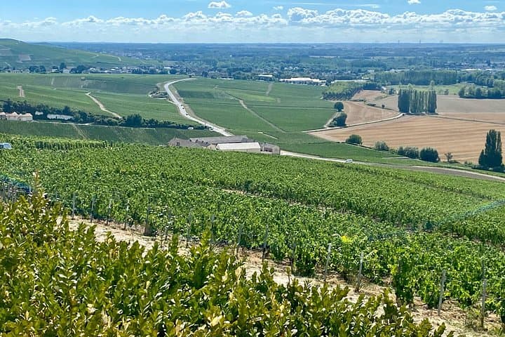 GRAND VINTAGE Moet et Chandon Veuve Clicquot Cellars & Tastings — photo 14